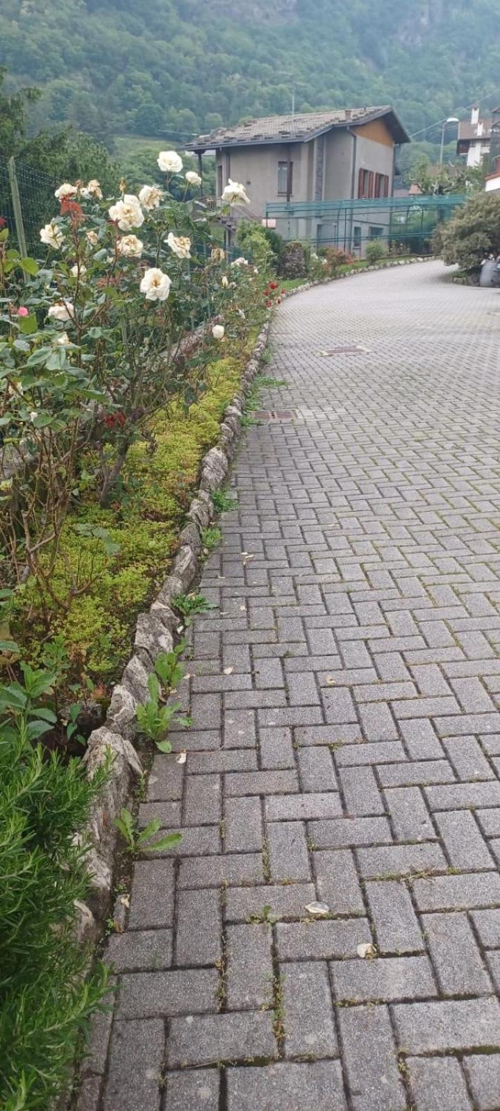 Casa Di Sofia E Oscar Lago Di Como Canzo Zewnętrze zdjęcie